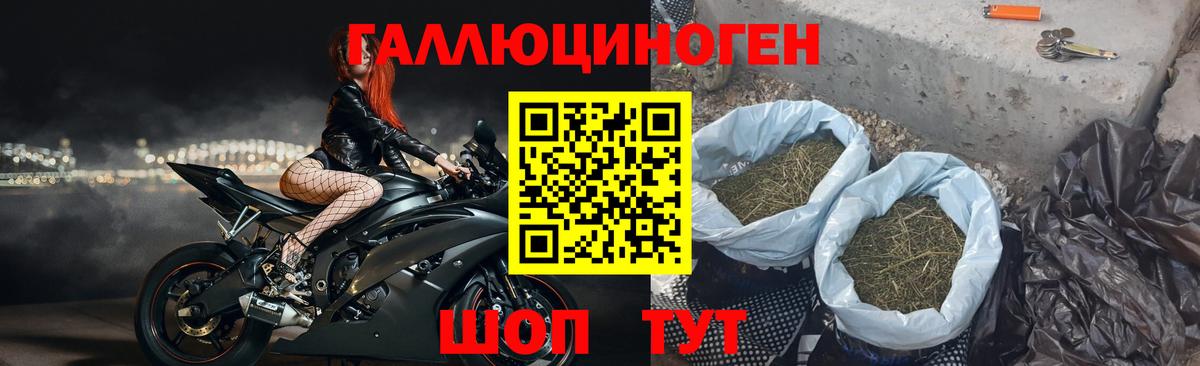 Псилоцибиновые грибы мухоморы  Вход с VPN  Кандалакша 