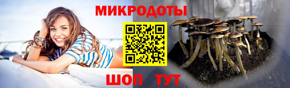 Псилоцибиновые грибы ЛСД Кандалакша